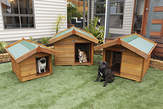 Small Dog Kennels