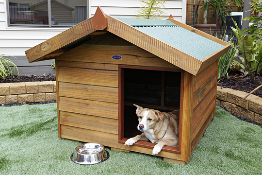 Build Diy Wood Dog Kennel Designs DIY PDF high gloss wood finish 